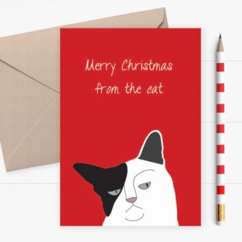 Christmas Card from the Cat - Grumpy cat card