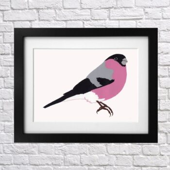 Bullfinch Screen Print