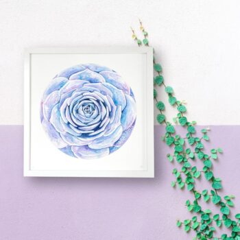 Purple Succulent Limited Edition Print