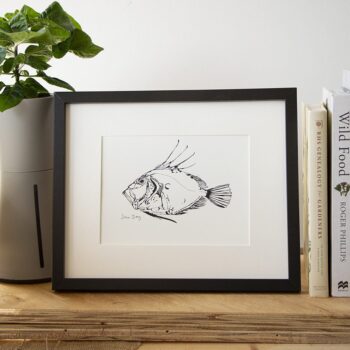 Little John Dory print