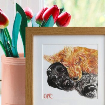 Bespoke Oil Pastel Pet Portrait