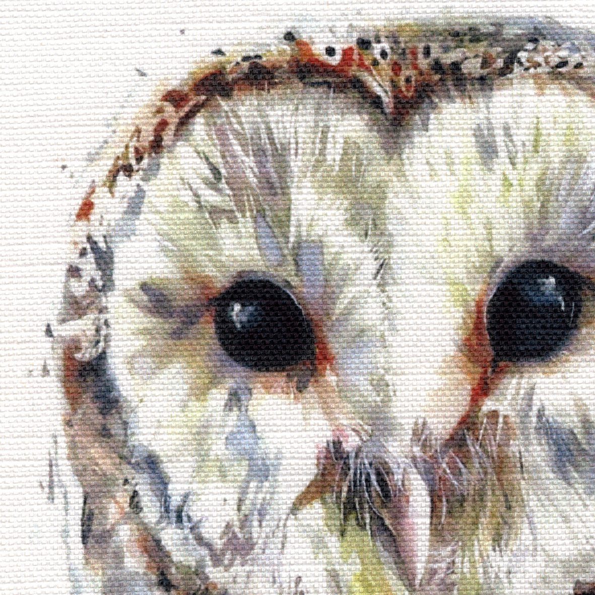 'Peeping Cherry The Owl' Cotton Linen Print