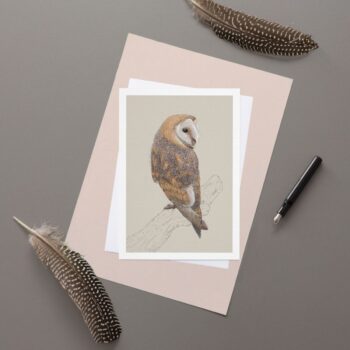 Barn Owl Greeting Card