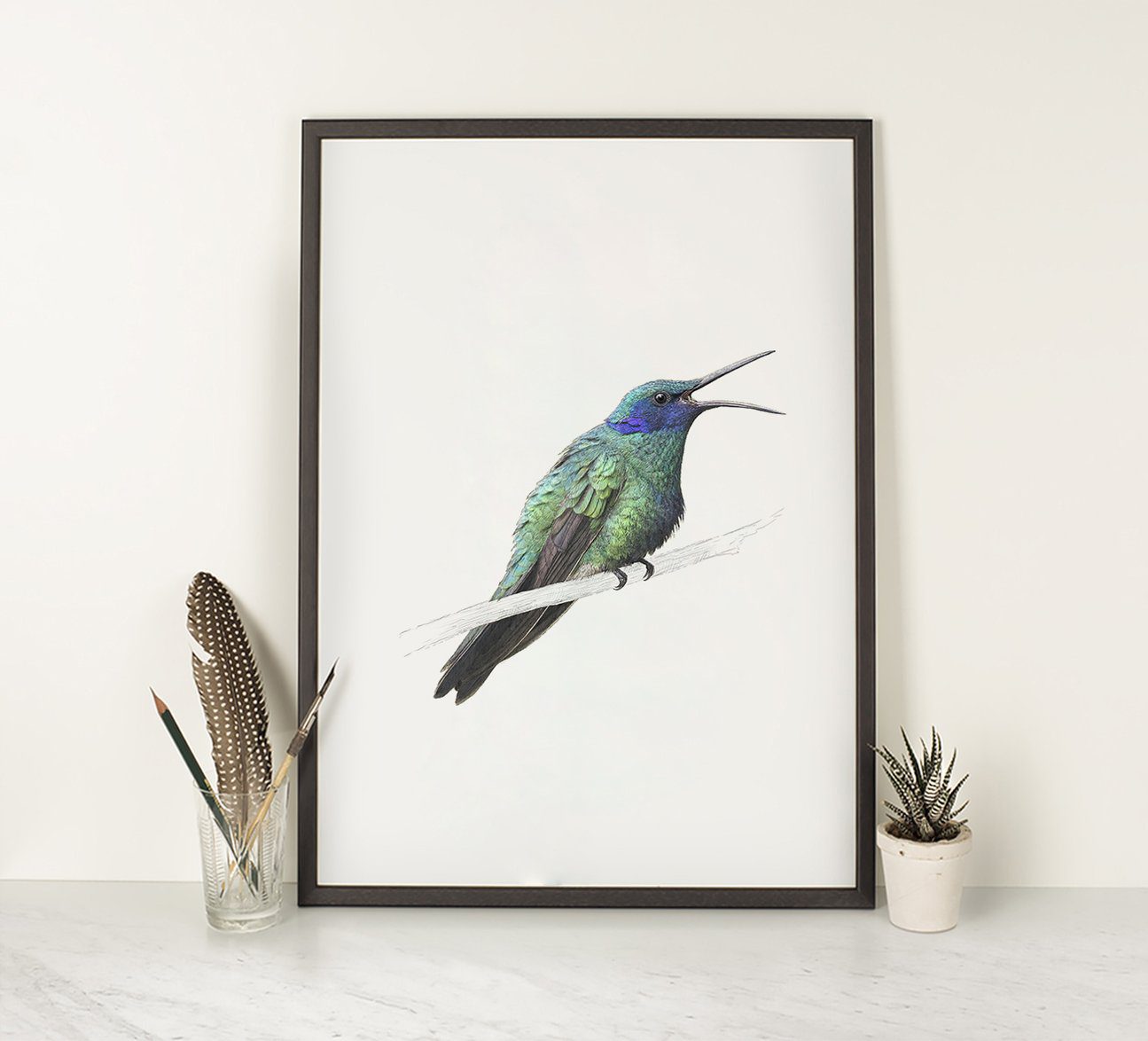 Sparkling Violetear Hummingbird - Art Print