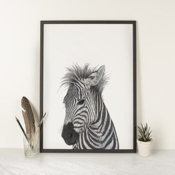 Zebra - Art Print