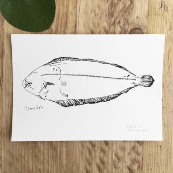 Little Dover Sole print