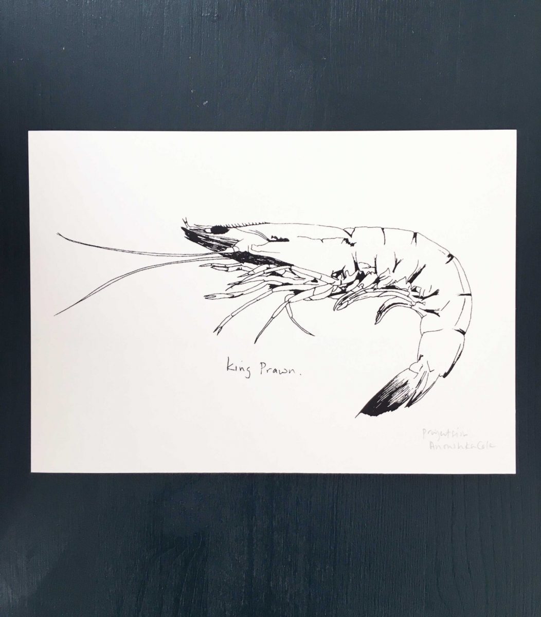 Little King Prawn screenprint