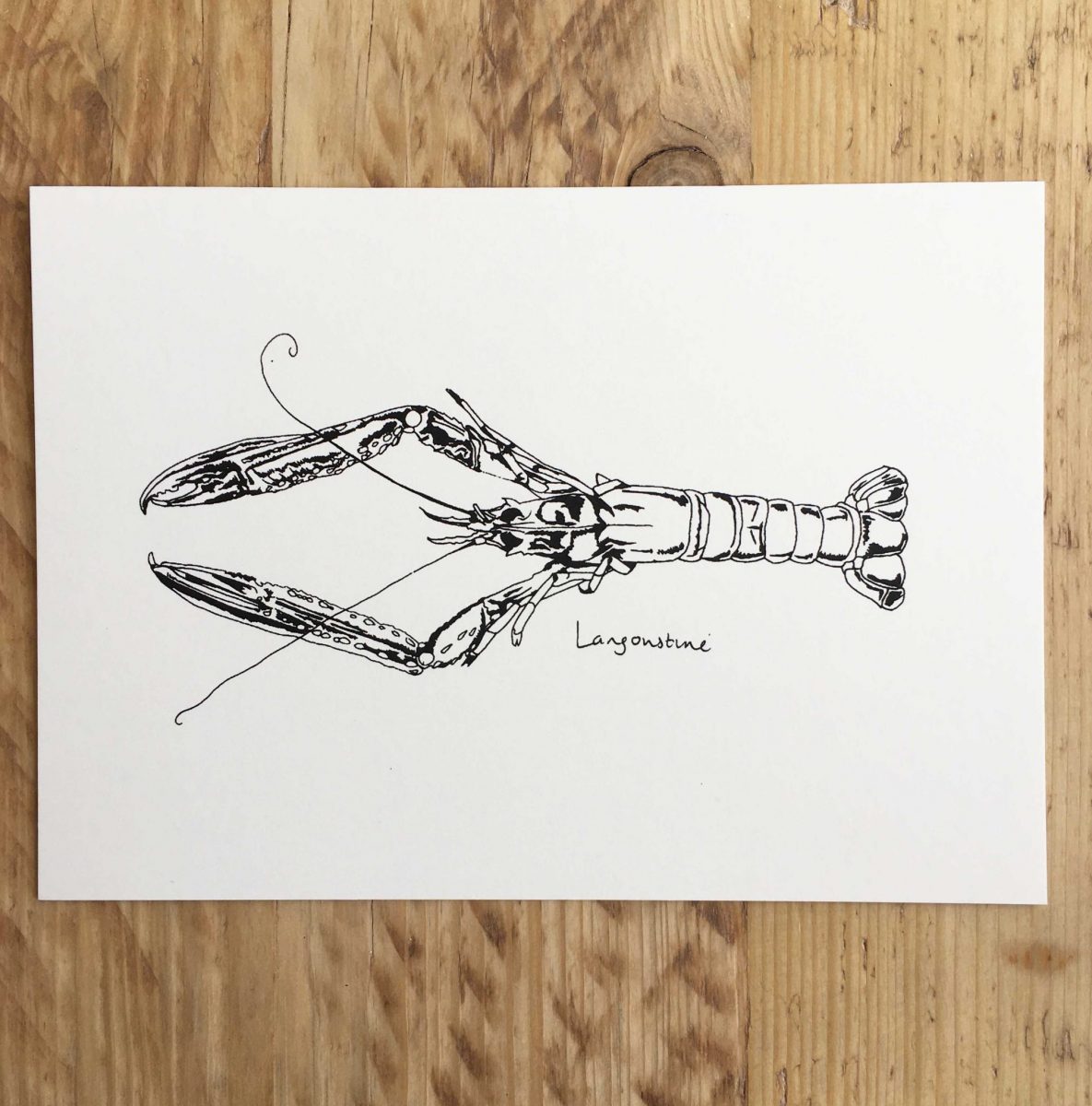 Little Langoustine print