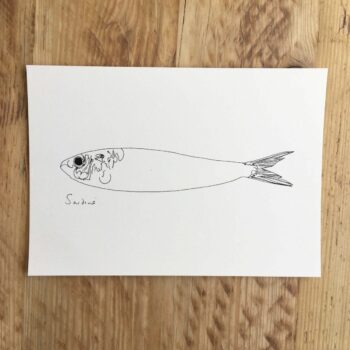 Little Sardine print