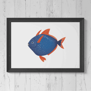 Opah Print