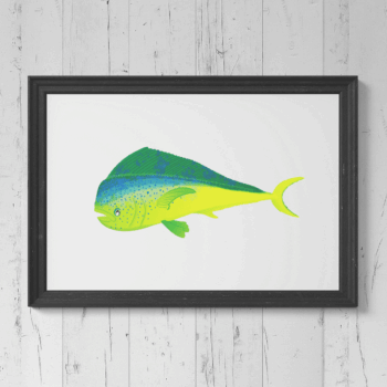 Mahi Mahi / Dorado Print