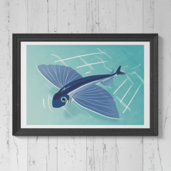 Flying Fish Print