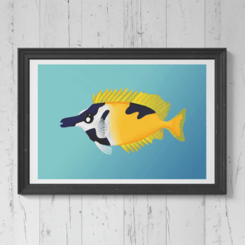 Foxface Rabbitfish Print