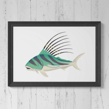 Roosterfish Print