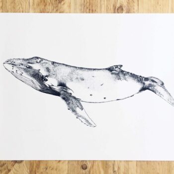 Large Humpback Whale Screen Print