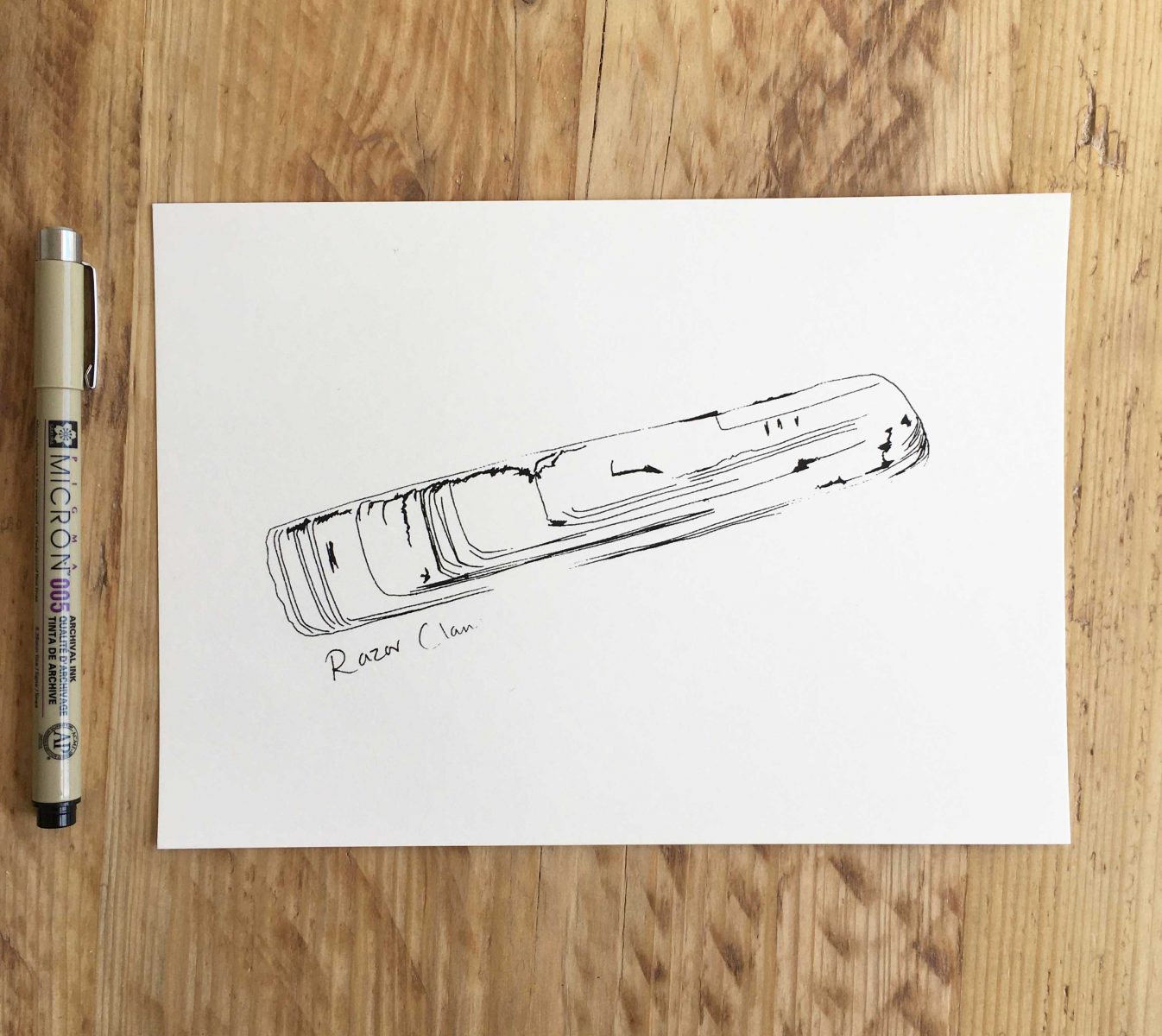 Little Razor Clam print