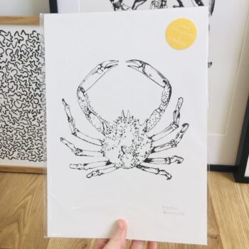Spider Crab Print - project fish screen print