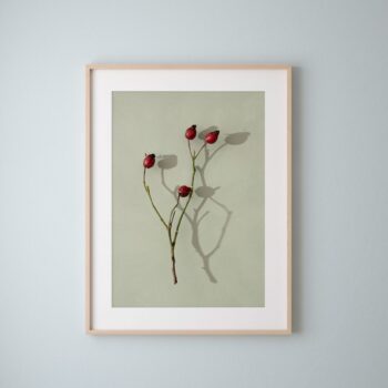'Rosehips On Green' Fine Art Print