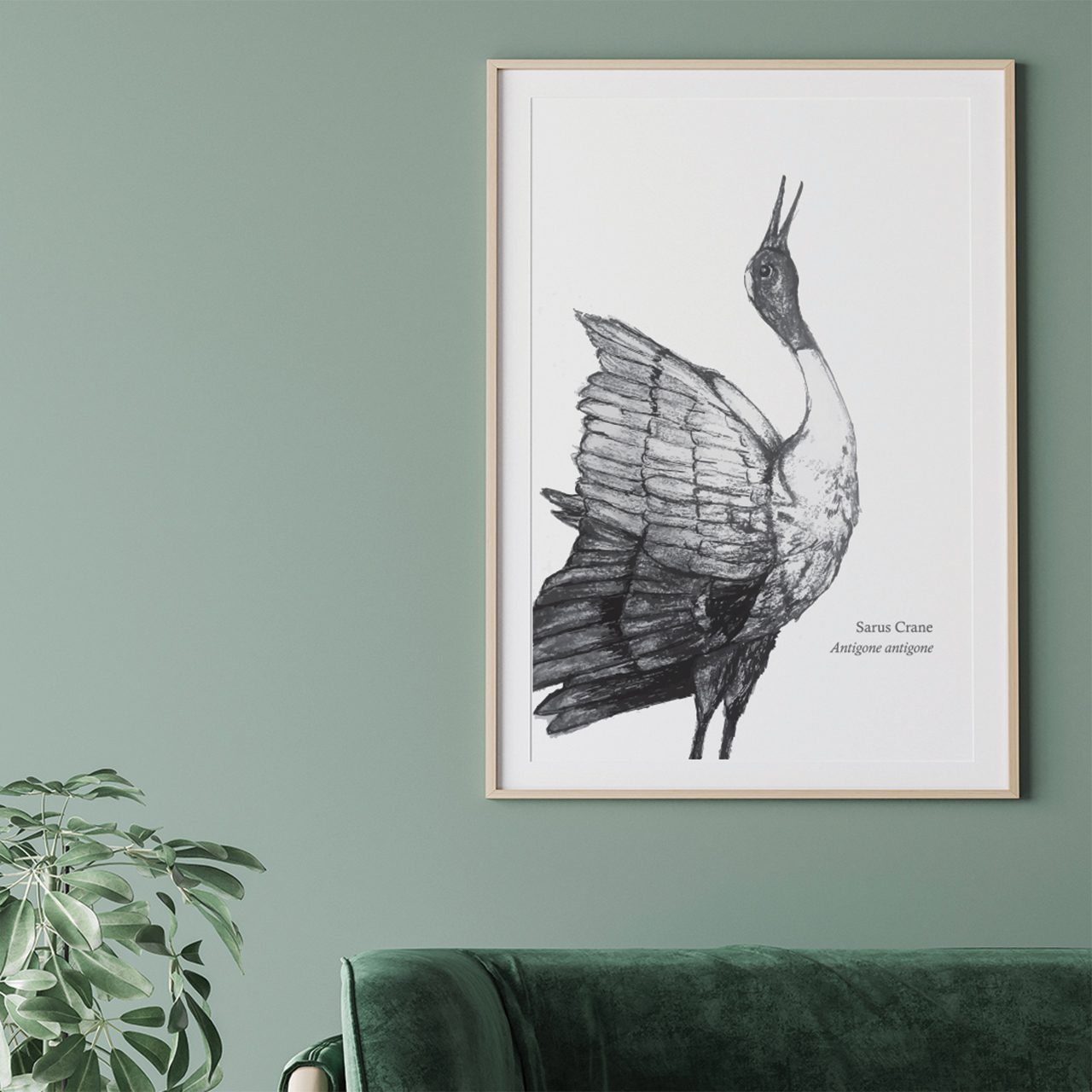 Sarus Crane Print - From The BirdLife Collection