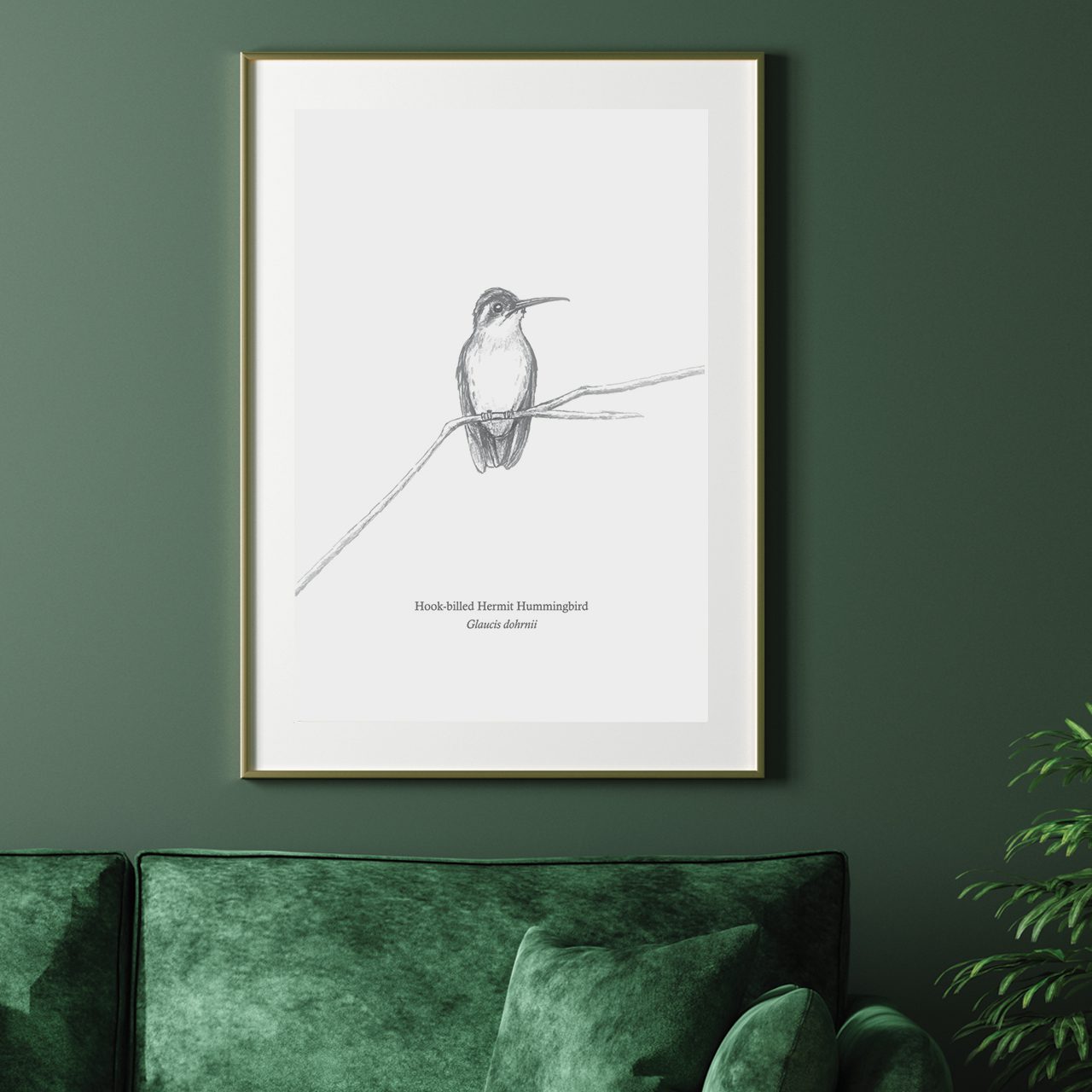 Hummingbird on a branch Print - The BirdLife Collection