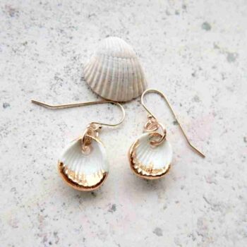 White and gold seashells, 14k gold earrings