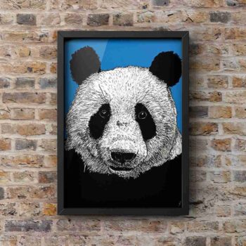 The Lazy Bear - Panda Portrait Print unmounted in Black frame