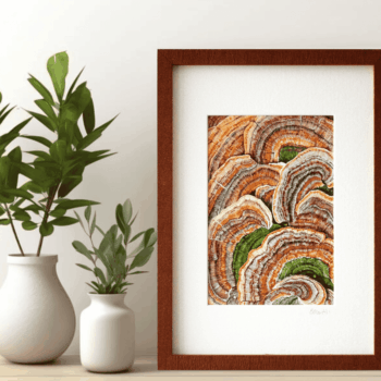 Yellow Turkey Tail Mushroom Print