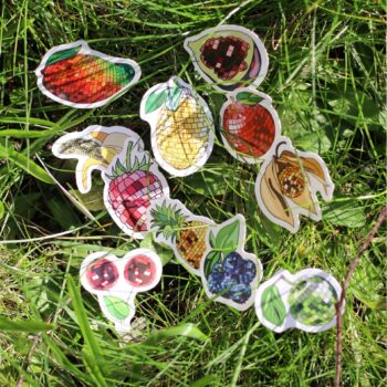 Disco Fruit Sticker Collection – 12-Part Series