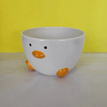Duck Bowl  - Cereal Soup Kitchen Bowl