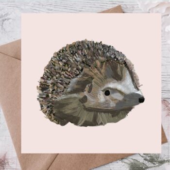 A hand drawn hedgehog on a pink background