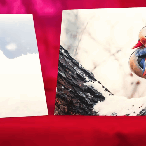 Paul Alistair Collins