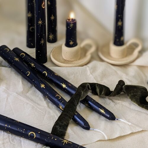 Tired Starling Studio