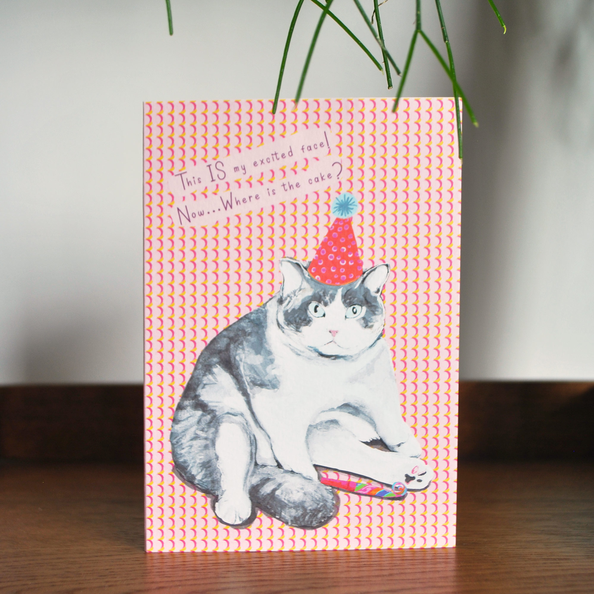 Birthday Card Cat