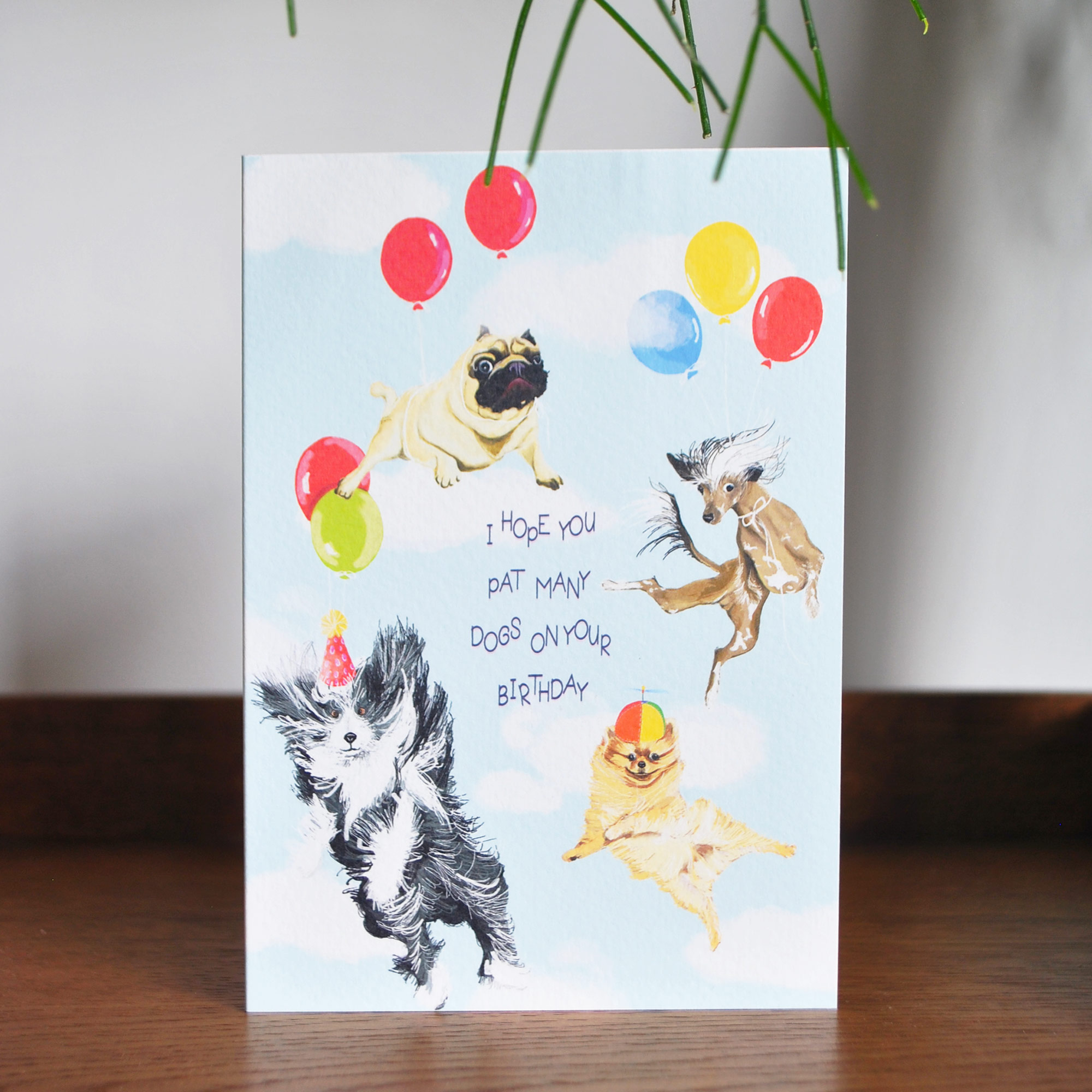 Dogs Birthday Card