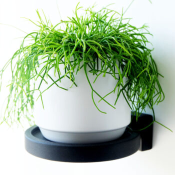 Handmade wooden plant or collectible shelf